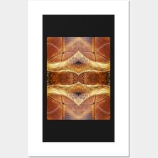 Golden Wood Grain Crown (Large print) by Adelaide Artist Avril Thomas Posters and Art